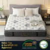 Mattress Plush Firm Bed Euro Top 7 Zone Spring Memory Foam